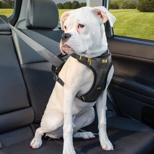 Crash impact resistant Kurgo Charcoal and Yellow Pet Harness